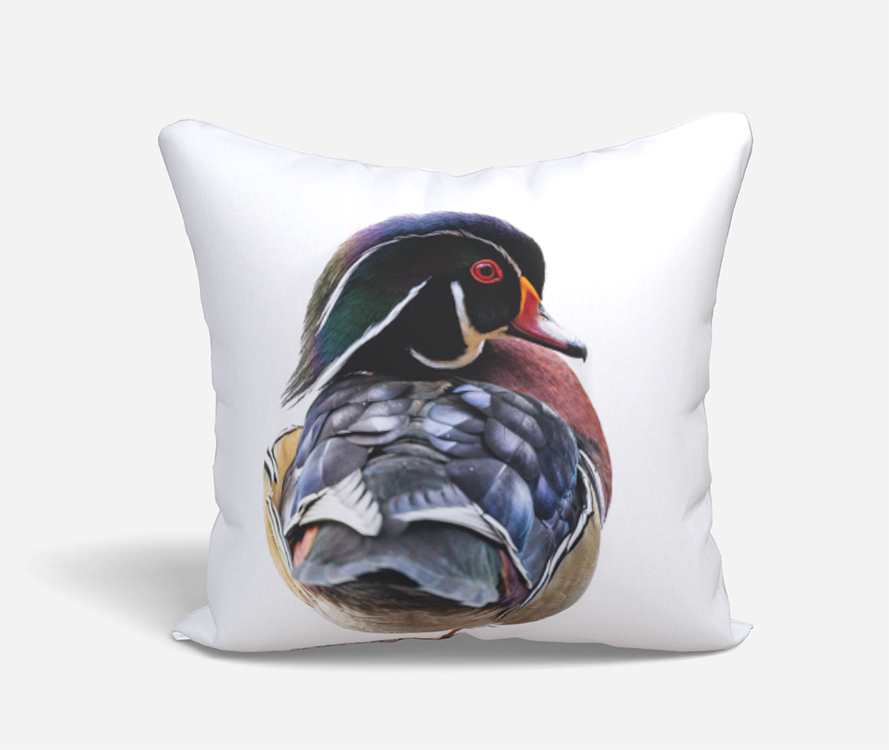 Wood Duck Drake 18x18_Medium copy