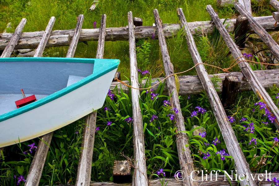 Old Boat and Orchids, REF: NOSC020